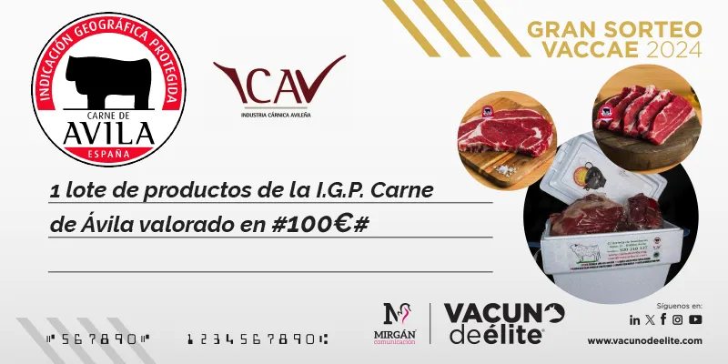 GS_Vaccae24_Premio_CarneAvila