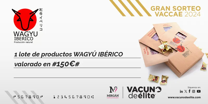 GS_Vaccae24_Premio_WagyuIberico